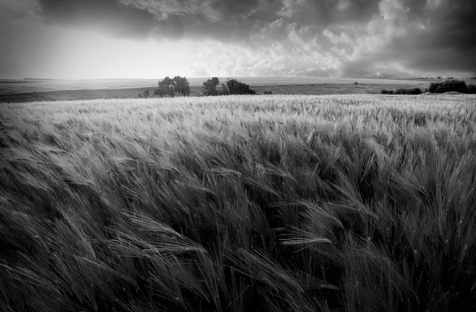 bg image